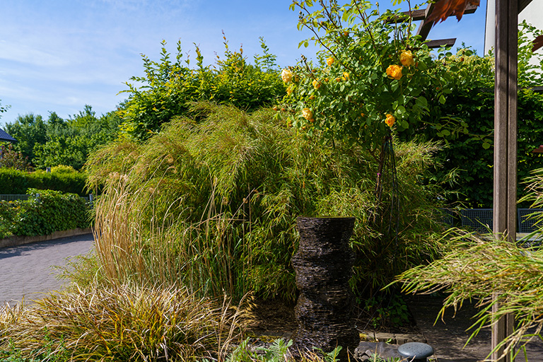 Garten SZ Eversburg